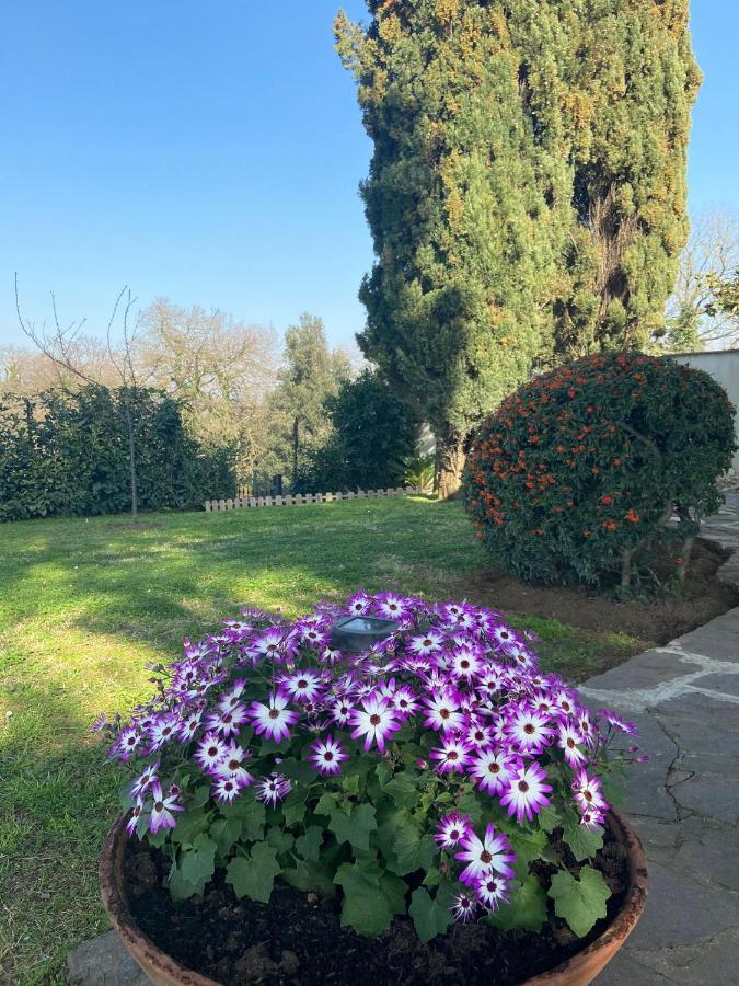 Villa Del Rubbio Rome Extérieur photo